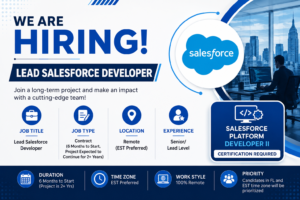 Lead Salesforce Developer